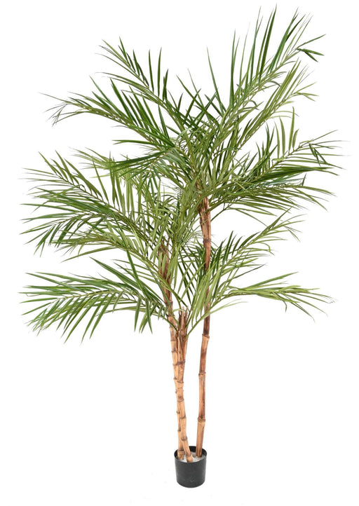 Kunstig Areca Palmetræ 3 Stammer 220 Cm Indendørs