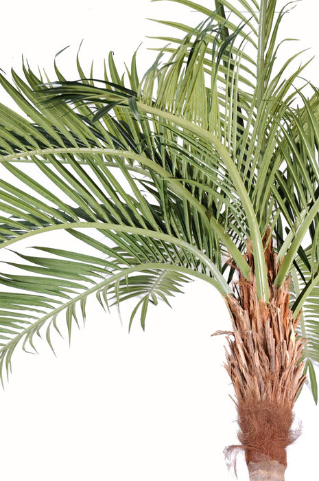Buet Kunstig Palme 270 Cm Til Indendørs