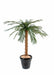 Kunstig Cycas Palme 140 Cm Indendørs Plante
