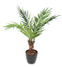 Kunstig Kentia Palme H.120 Cm Indvendig Dekoration