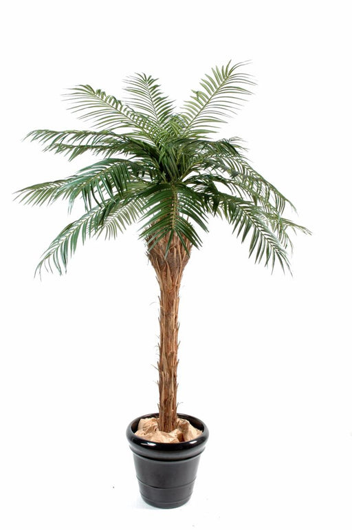 Kunstig Phoenix Palme 150 Cm Til Indendørs