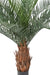 Kunstig Phoenix Palme 18 Palmer 130Cm Grøn