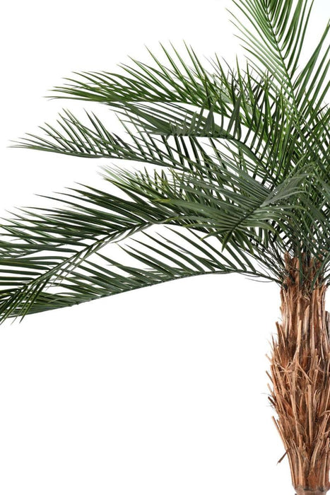Kunstig Phoenix Palme 220Cm Til Udendørs