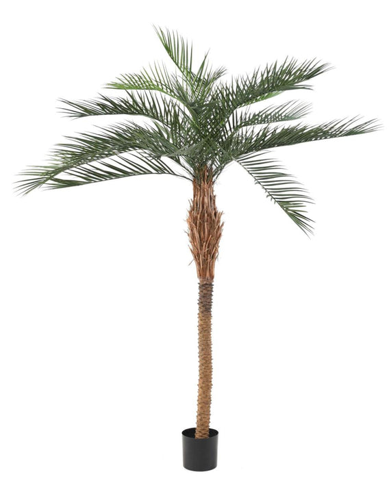 Kunstig Phoenix Palme 220Cm Til Udendørs