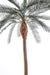 Kunstig Phoenix Palme 280 Cm Til Udendørs