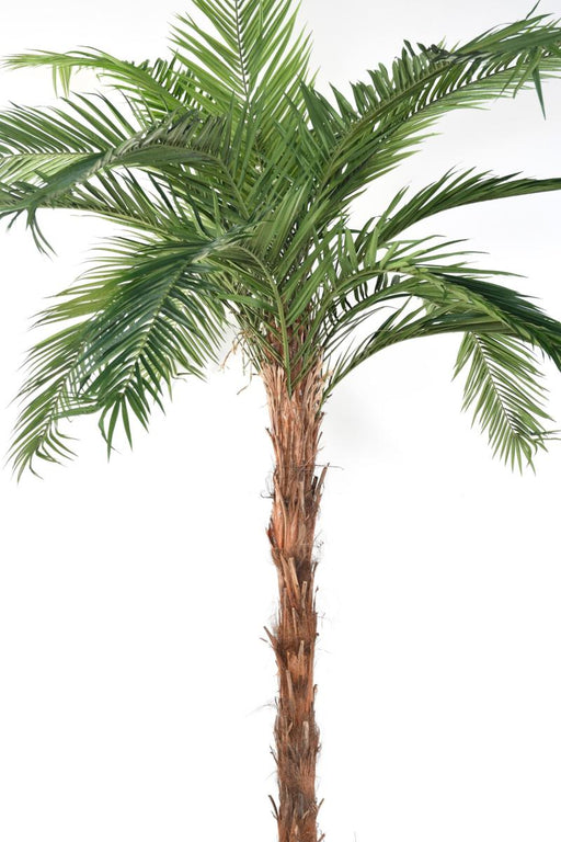 Kunstig Palme Phoenix Canariensis H.370Cm Plante