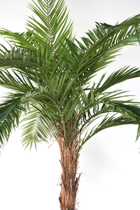 Kunstig Palme Phoenix Canariensis H.370Cm Plante