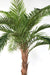 Kunstig Palme Phoenix Canariensis H.370Cm Plante