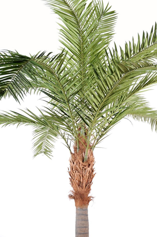 Kunstig Palme Phoenix Canariensis H.440Cm Grøn