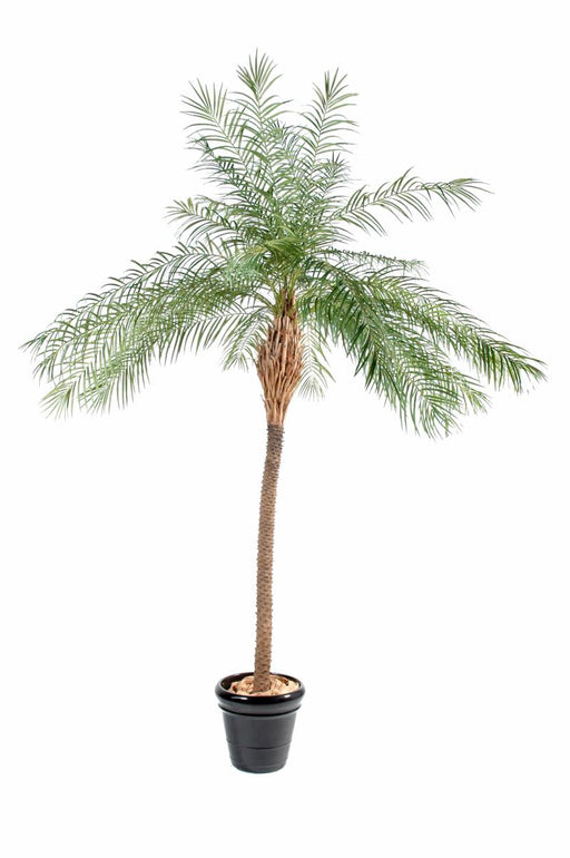 Grønt Kunstigt Palmetræ 190 Cm Indendørs Plante