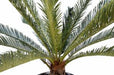 Kunstig Cycas Palm 100 Cm Til Indendørs