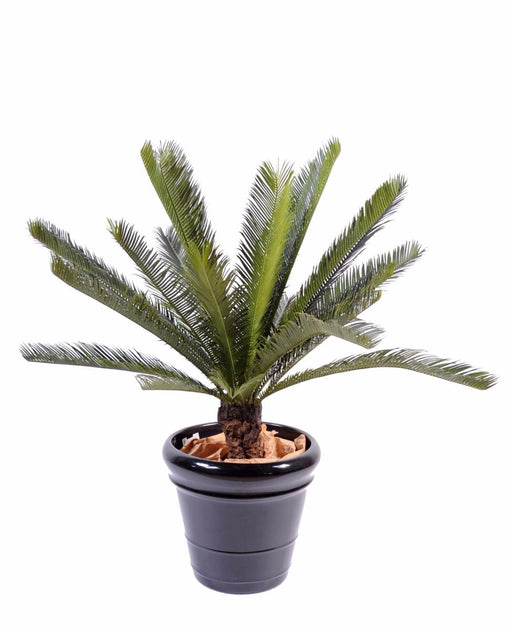 Kunstig Cycas Palme 100 Cm Til Indendørs Udendørs