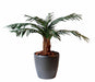 Kunstig Cycas Palm 80Cm Til Indendørs