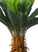 Kunstig Cycas Palmetræ I Potte 110 Cm Indendørs Plante