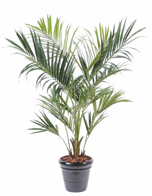 Kunstig Kentia Palme 220 Cm Til Indendørs