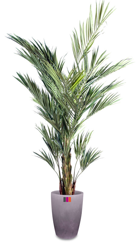 Kunstig Kentia Palme 270 Cm Grøn Interiørdekoration