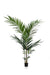 Kentia Palme Kunstig Plante - H150Cm, Ø12Cm