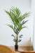 Kentia Palme Kunstig Plante - H150Cm, Ø12Cm