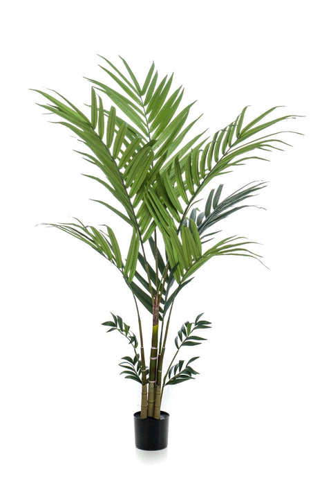 Kentia Palm Kunstig Plante - H180Cm, Ø15Cm