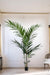 Kentia Palm Kunstig Plante - H180Cm, Ø15Cm