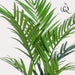 Kentia Palm Kunstig Plante - H180Cm, Ø15Cm
