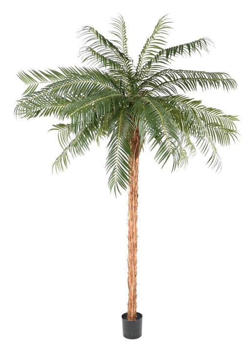 Kunstig Phoenix Palme 260Cm Til Indendørs
