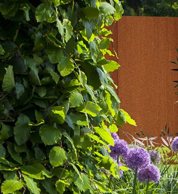 Rusten Corten Stål Havepanel 180X110 Cm
