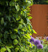 Rusten Corten Stål Havepanel 180X110 Cm