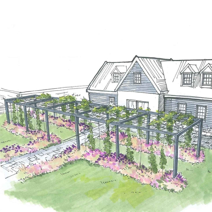 Pergola Tag