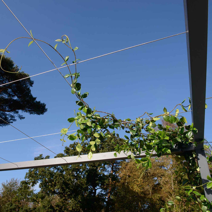 Pergola Tag