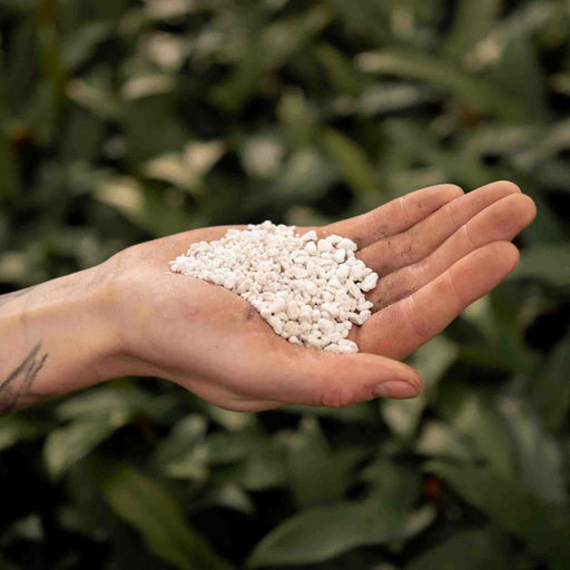 Perlite - 3L