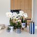 Hvid Phalaenopsis Amabilis I Pottemalet Stripe Blå