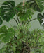Kunstig Philodendron Hængende 60Cm Indvendig Dekoration