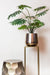 Philodendron Kunstig Plante - H77Cm, Ø12Cm