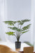 Philodendron Kunstig Plante - H77Cm, Ø12Cm
