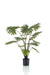 Philodendron Kunstig Plante - H98Cm, Ø9Cm