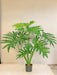 Philodendron Xanadu - Kunstig Grøn Plante