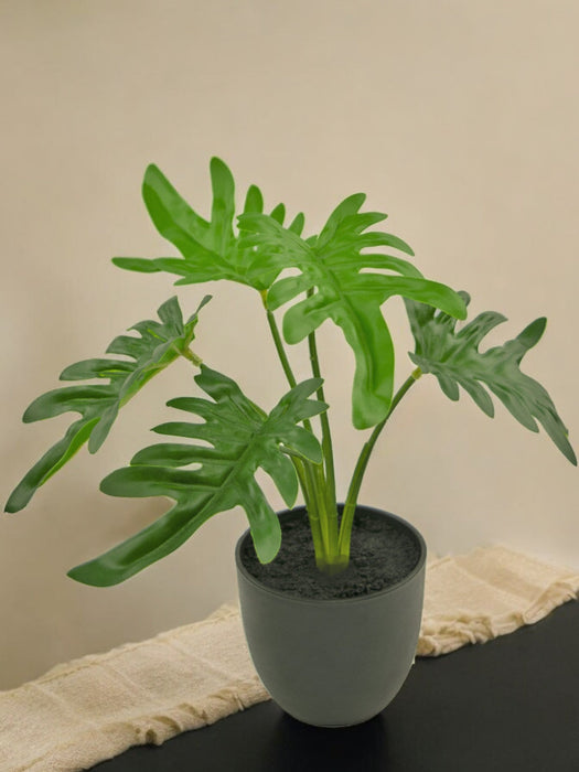 Philodendron Xanadu - Kunstig Grøn Plante