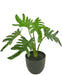 Philodendron Xanadu - Kunstig Grøn Plante
