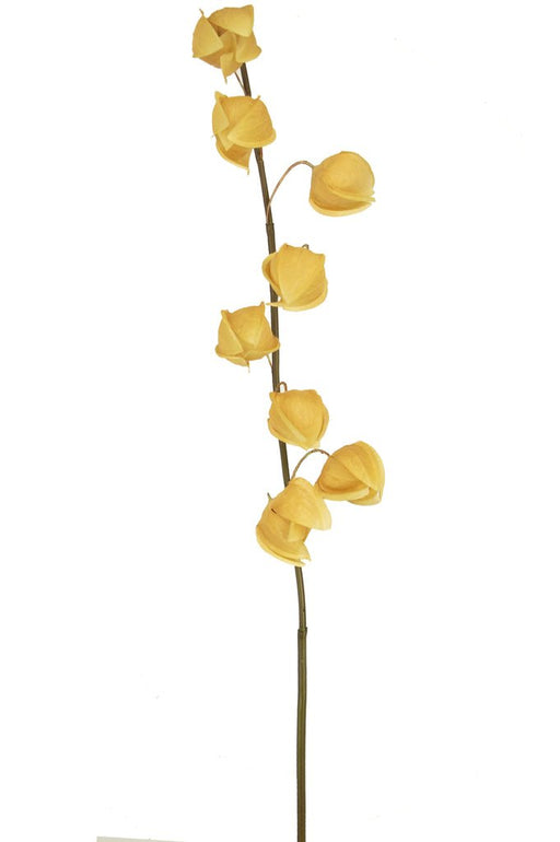 Physalis Lampion Brown - Kunstig Blomstrende Gren