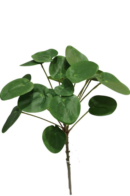 Pilea Peperomioides - Kunstigt Løv
