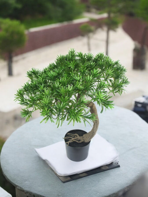 Fyrretræ - Kunstig Bonsai