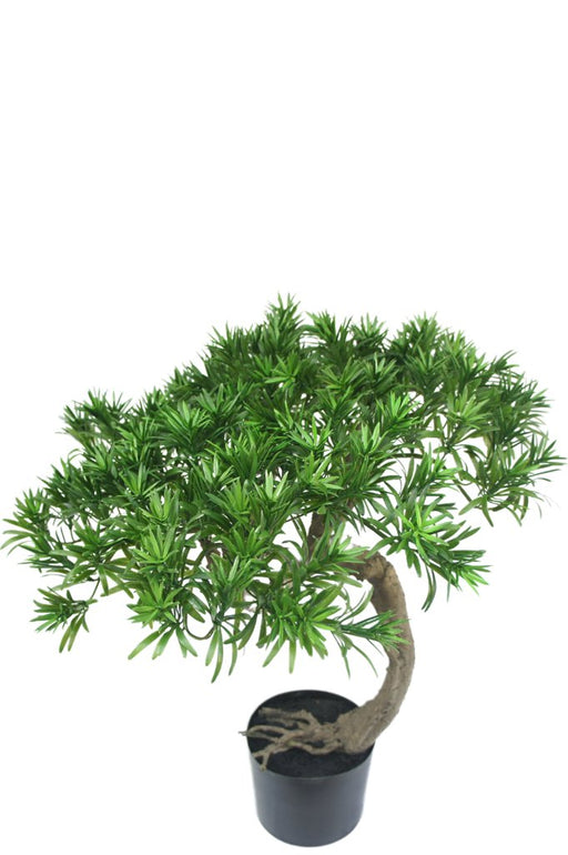 Fyrretræ - Kunstig Bonsai