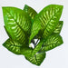 Kunstig Dieffenbachia Stav 34 Cm Indendørs Grøn