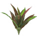 Indendørs Kunstig Dracena Stake 32Cm Grøn Rød