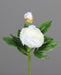 Kunstig Pæon 36 Cm Hvid Blomst Og Knop