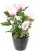 Kunstig Pæon 60 Cm Pink Indvendig Dekoration
