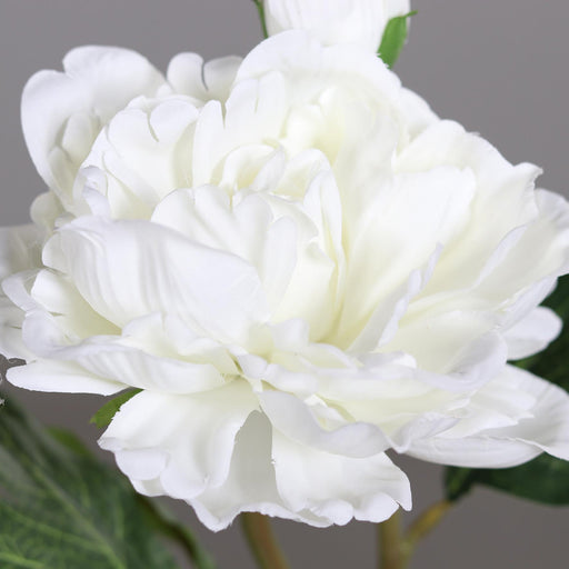 Hvid Kunstig Pæon 1 Blomst 1 Knop 34Cm