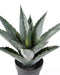 Kunstig Agave Plante I Potte H.43Cm Grøn