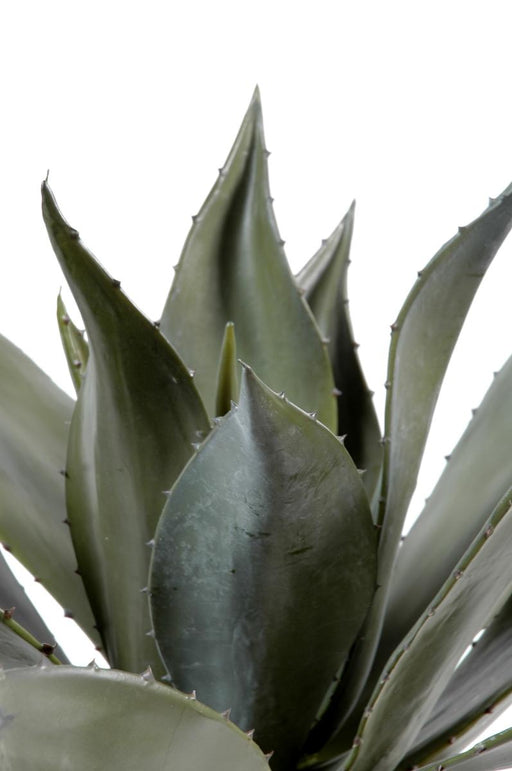 Indendørs Kunstig Agaveplante 75 Cm Grøn